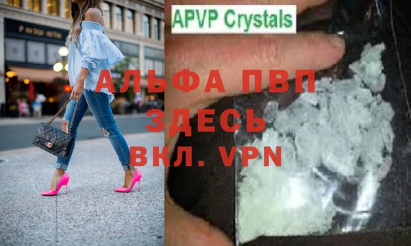 индика Заволжье