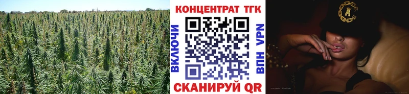 где найти наркотики Чегем ТГК жижа
