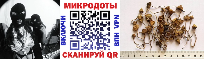 Псилоцибиновые грибы прущие грибы  Чегем 